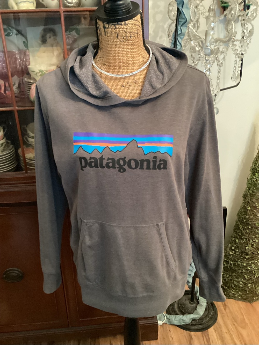 Patagonia Hoodie Top